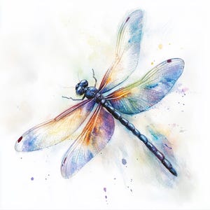 Op de afbeelding: Een aquarel schilderij van een libel met iriserende vleugels. De libel is geschilderd in tinten blauw, paars, oranje en geel. De achtergrond is een lichte was van aquarel.