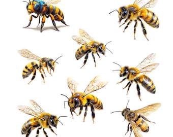 Printable bees, watercolor insects, Bees Clipart, Transparent Background PNGs, Individual clipart, Commercial Use