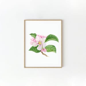 Impressão digital em aquarela Apple Blossom Download instantâneo, 5 tamanhos, decoração de casa DIY, cartão postal, álbum de recortes, modelo de impressão