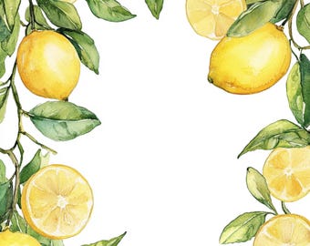 13 Printable Lemons frame, Lemon Branch print, High Quality PNG and JPG, watercolor Lemon art, Tropical fruit illustrations, Commercial use