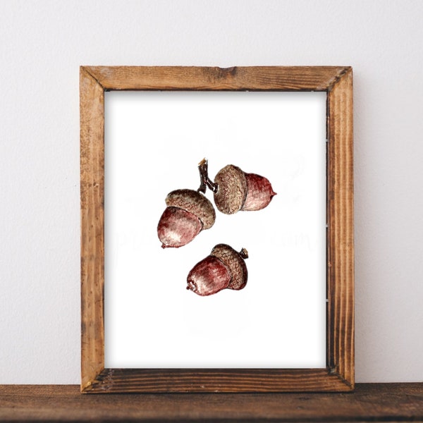 Acorns Dry seed Watercolor Digital Print - Instant Download, 5 Sizes, DIY Home Decor, Postcard, Scrapbooking, Printing Template