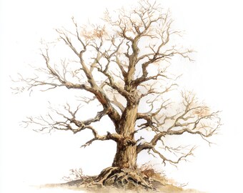 10 Printable oak tree, oak tree root print, Watercolor oak tree, oak JPGs PNGs, botanical art, tree branches decor, winter tree