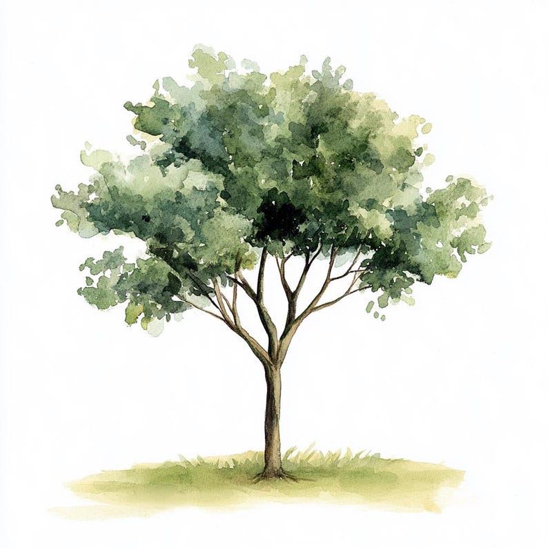 10 Printable Tree, Minimalist Tree Print, Watercolor Trees, Green ...