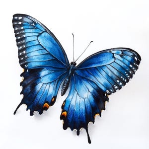May include: A watercolor painting of a butterfly with vibrant blue wings, accented with black and touches of orange. The butterfly's wings are detailed with intricate patterns and textures, set against a clean white background.