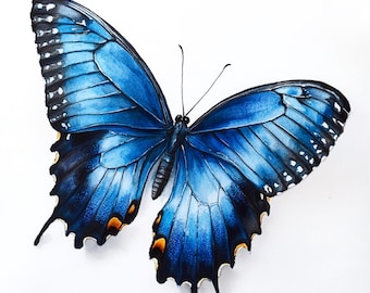 May include: A watercolor painting of a butterfly with vibrant blue wings, accented with black and touches of orange. The butterfly's wings are detailed with intricate patterns and textures, set against a clean white background.
