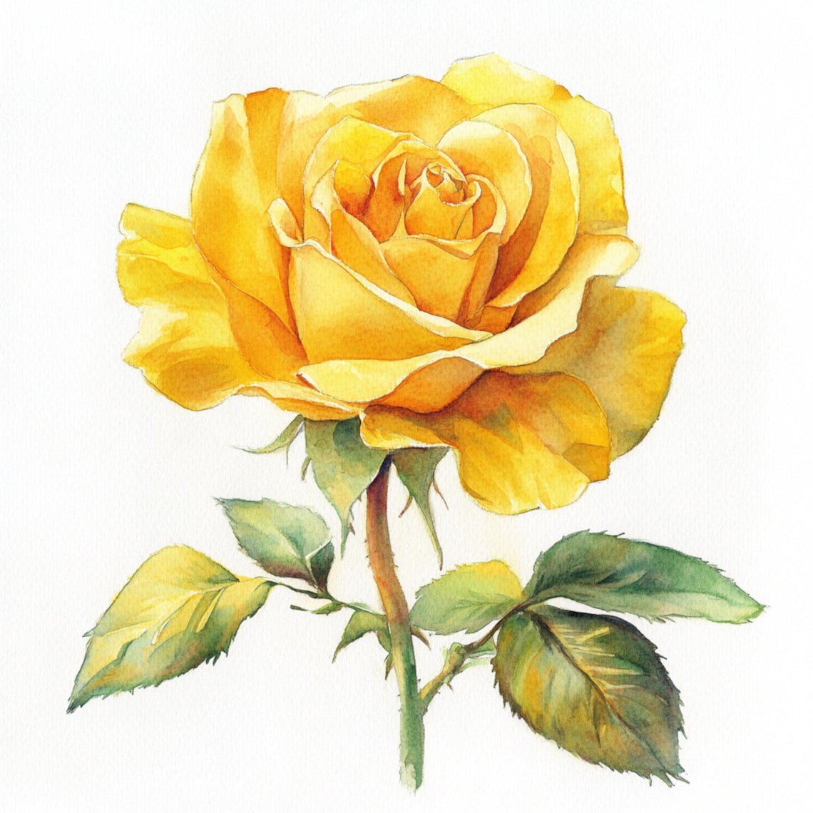 Yellow Roses To Print 10 Printable Rose Flower, Yellow Roses Art, Yellow Roses Jpgs, Summer ...