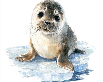 12 Printable baby seal Clipart, Baby seal art, watercolor art, Cute ClipArt, Swimming seal Prints, Commercial Use, Various little seal  art