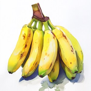 10 Printable bananas, Troical fruits art, Watercolor bananas, fruits  JPG, Digital download, tropical food, tropical plant
