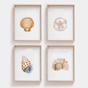 Muschel Aquarell Illustration, 3er Set, Muschel Bild, Wasserfarben Malerei, Digital Art auf Leinwand, Muschel jpg und png zum Ausdrucken