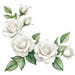 10 Printable White Roses Corner, White Roses Corner, Summer Flowers ...