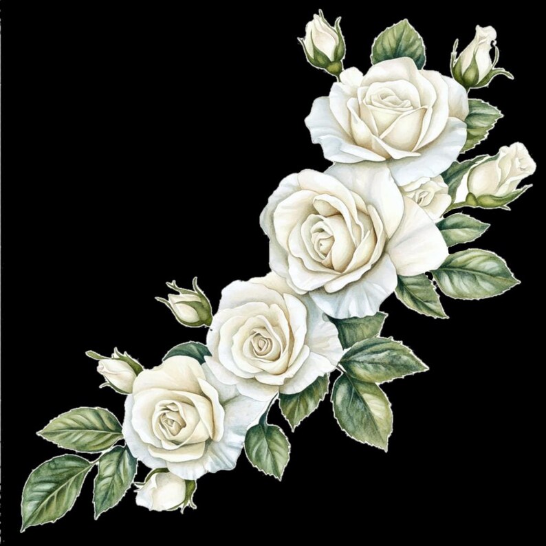 10 Printable White Rose Corner, Watercolor Flowers, White Roses Clipart ...