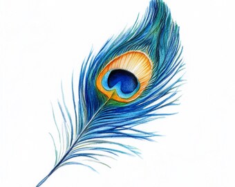 10 Printable peacock feathers, Bird feathers art, watercolor art, Cute ClipArt, Feather decor, Commercial Use, Various  avian feathers art