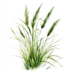 10 Printable grass border, watercolor grass art, meadow grass, Watercolor grass, High Quality PNG and JPG, Digital download grass border