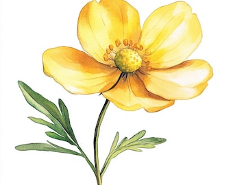 10 Printable Butterunp flower, wildflower art, yellow flower Watercolor clipart, High Quality PNG and JPG, Digital download, Commercial Use