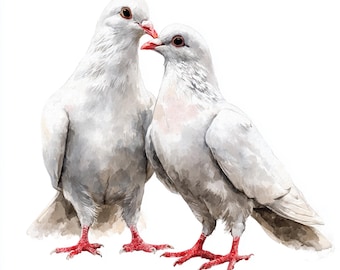 10 Printable doves art, Couple Dove Watercolor clipart, High Quality PNG JPG, Loving doves, Commercial Use, Beautiful white dove