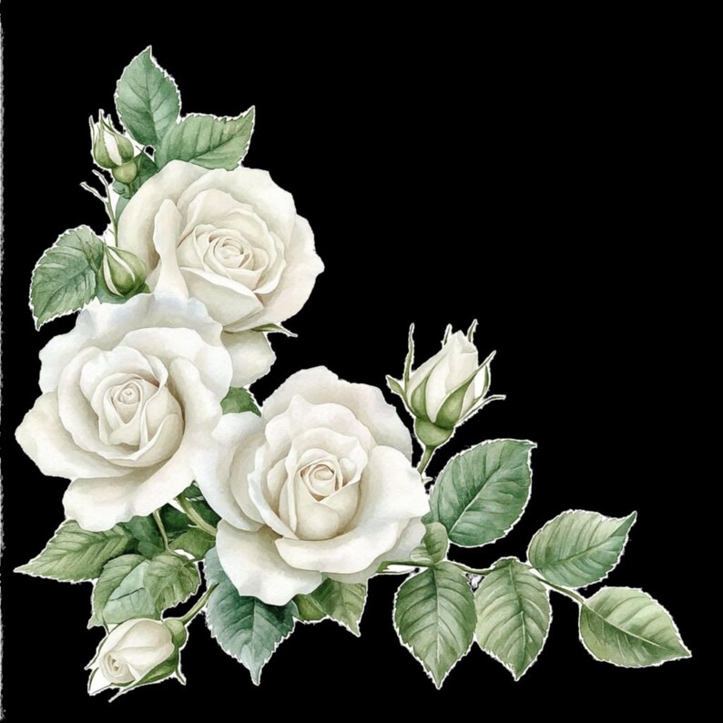 10 Printable White Rose Corner, Watercolor Flowers, White Roses Clipart ...