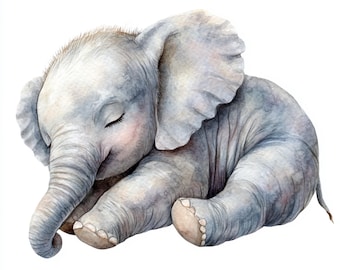 10 Printable baby elephant, elephant Clipart, watercolor ClipArt, little cute elephant, Commercial Use, animal digital art