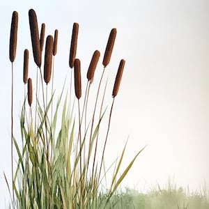 10 Druckbare Rohrkolben, Grüne Blätter Kunst, Aquarell Rohrkolben, Seen Pflanzenkunst, PNG und JPG, Digitaler Download, Digitaler Rohrkolben, Wasserpflanzen