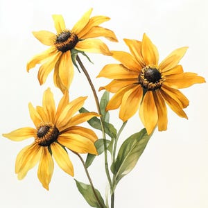10 Printable Black Eyed Susan, Orange Flowers art, Black-Eyed-Susan JPGs, Summer flowers, High Quality PNG and JPG, terracotta bouquet