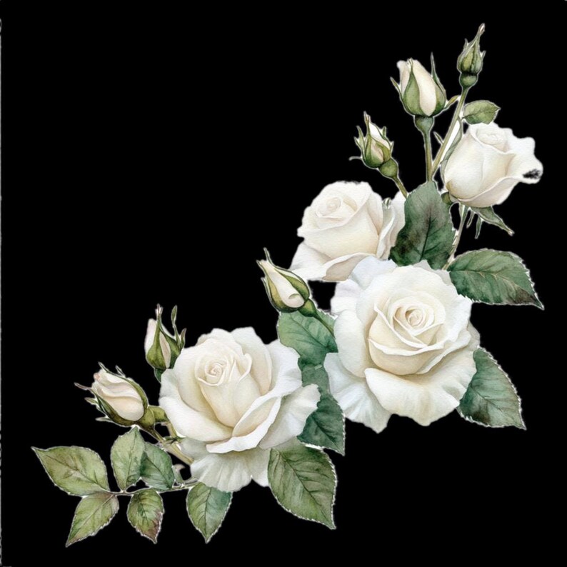 10 Printable White Rose Corner, Watercolor Flowers, White Roses Clipart ...