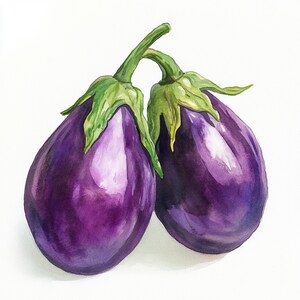 Peut inclure: Aquarelle de deux aubergines. Les aubergines sont d'un violet profond avec un aspect brillant. Les tiges sont vertes avec des feuilles vertes. Les aubergines sont posées sur un fond blanc.