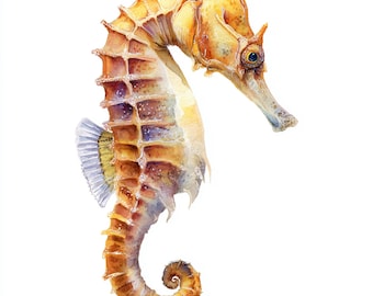 12 Printable sea horse, Nautical art, sea horse Watercolor clipart, High Quality PNG and JPG, Digital download, Commercial Use