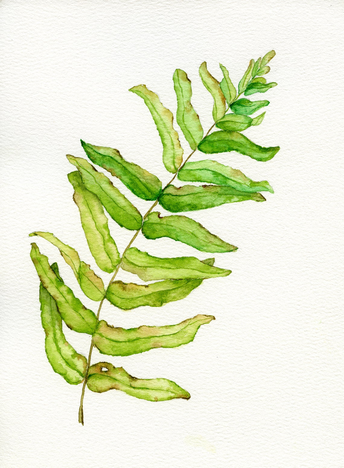 Digital fern leaf WATERCOLOR Painting printable art JPEG Etsy