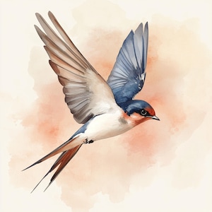 10 Printable swallow Clipart, Bird swallow, watercolor art, swallow decor, Commercial Use, Various swallow art, beautiful birds