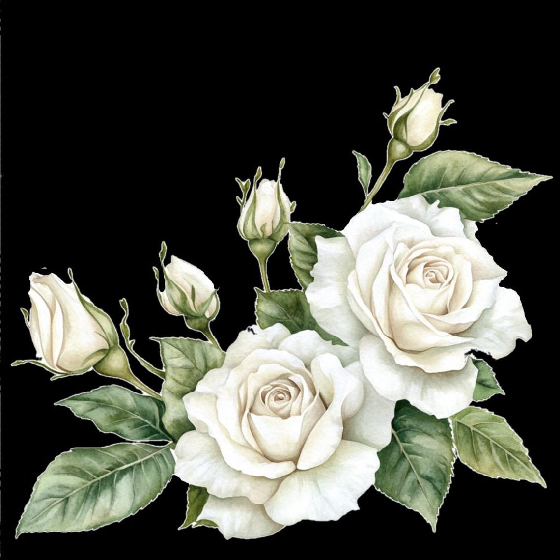 White Roses Corner Real 10 Printable White Rose Corner, Watercolor Flowers, White Roses Clipart ...