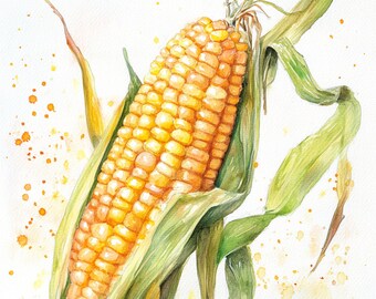 10 Printable corn, Vegetables art, corns ears print, High Quality PNG and JPG, watercolor green food, Summer illustrations, Healthy food