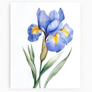 Arte digital de acuarela 10 flores de iris imprimibles, iris azul, primavera de acuarela, flores de boda, PNG y JPG de alta calidad, tarjeta de flores azules
