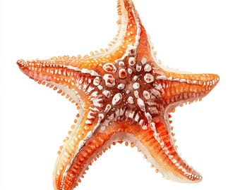 10 Printable Starfish, Nautical art, Starfish Watercolor clipart, High Quality PNG and JPG, Digital download, Commercial Use