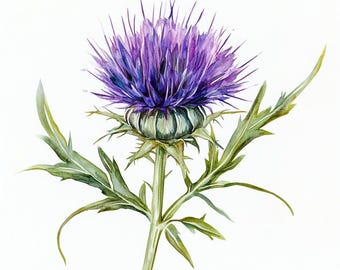 10 afdrukbare distel, distelbloem, zomerbloemen, bloemen png's, paarse distel JPG's, wilde bloemen kleur, minimalistische bloemenprint