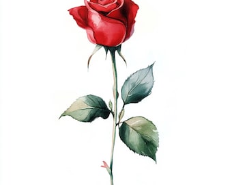 10 Printable rose flower, Red roses art, Red roses JPGs, Summer wedding flowers, High Quality PNG and JPG, Red roses print