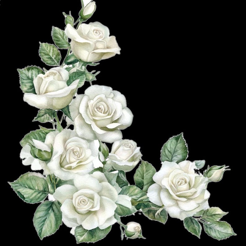 10 Printable White Rose Corner, Watercolor Flowers, White Roses Clipart ...