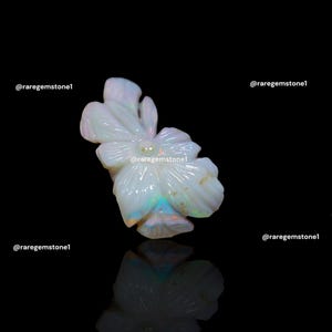 May include: A carved opal flower with iridescent colors, set against a black background. The flower is white with a delicate, intricate design.