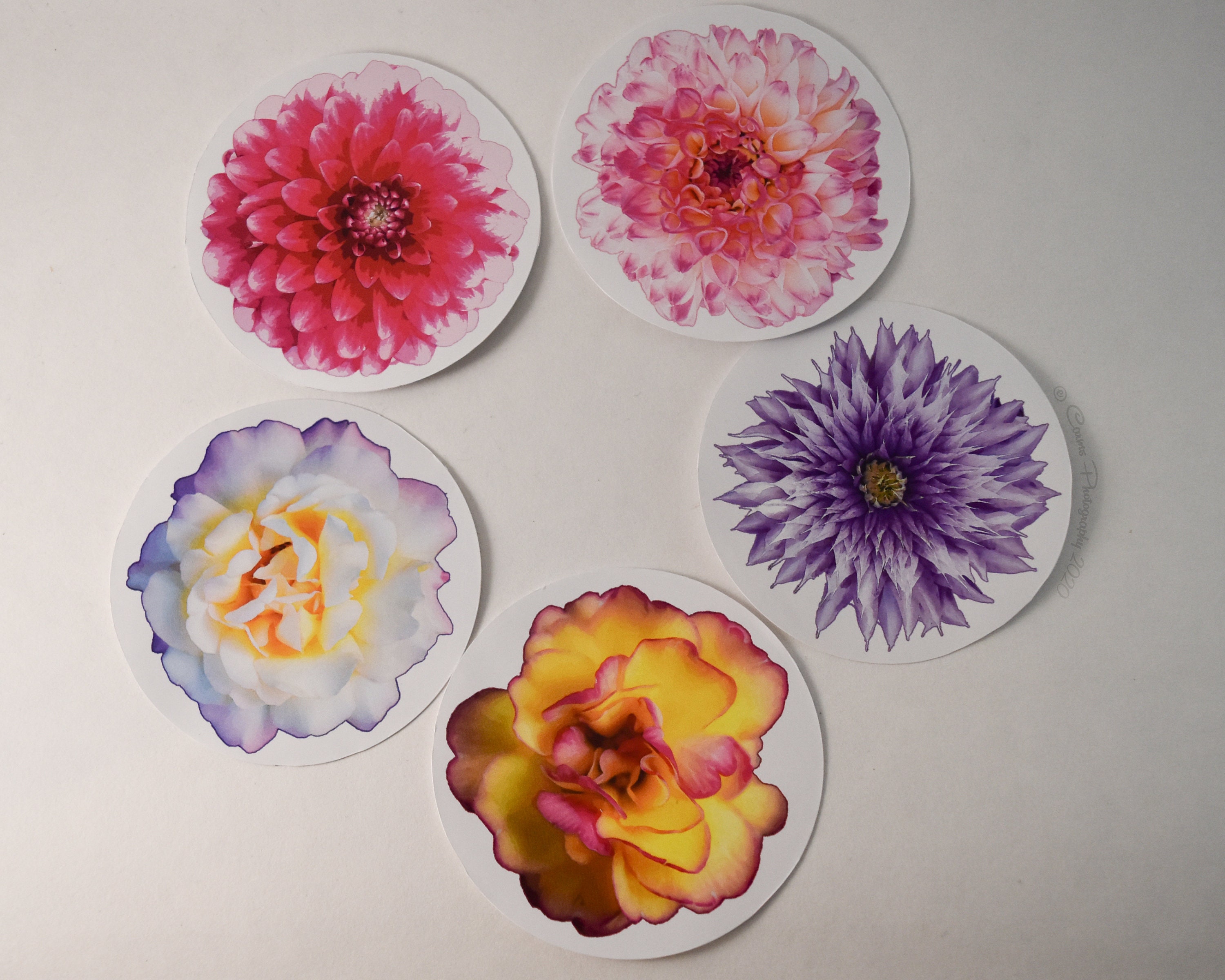 flower sticker bundle scrap books card making garden etsy