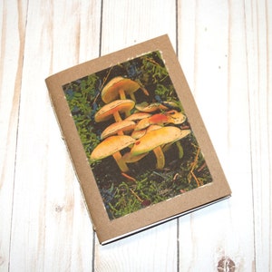 Mushroom Family - Notebook