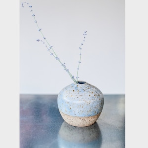 Puede incluir: Un pequeño jarrón de cerámica redondo con un esmalte moteado azul claro y una base natural sin esmaltar. Dos tallos delgados con pequeñas flores moradas emergen del jarrón. El jarrón está sobre una superficie metálica.