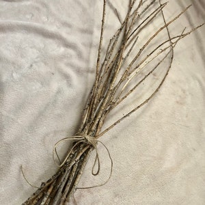 Willow Sticks