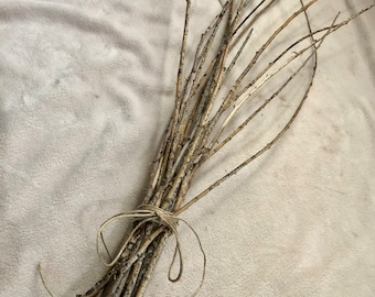 Bâtons de saule