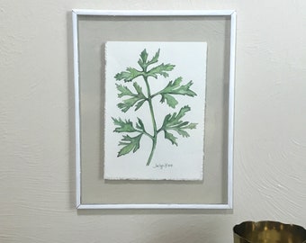 Original Parsley Watercolor 5x7