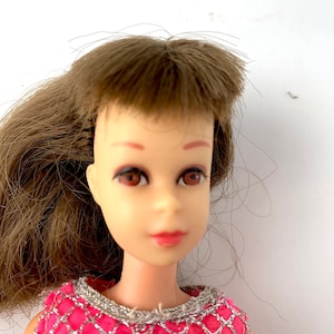 Vintage 1967 Twist N Turn Francie