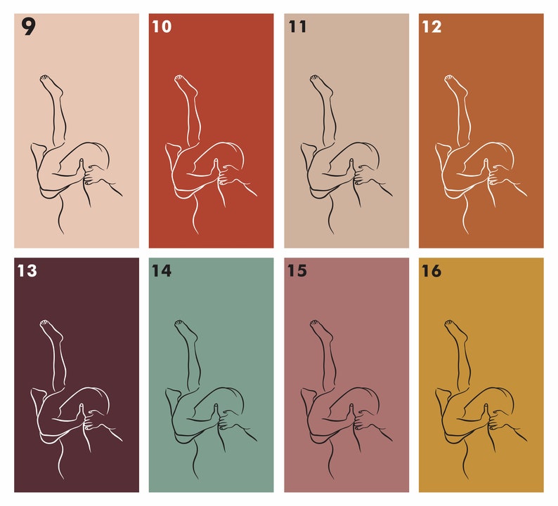 May include: A set of eight illustrations depicting a couple in various poses. The illustrations are in black and white line art style and are set against a background of eight different colors. The colors are peach, red, beige, orange, maroon, green, pink, and yellow.
