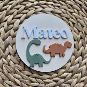 Dinosaur Baby Name Sign, Dinosaour Name Disc,Newborn Baby Name plate, Hospital Newborn Photo Prop Sign, Personalized custom Baby Shower Gift