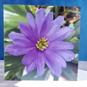 Lege Bloemenkaart, Originele kunst print, Kunstkaart, Bloemen verjaardagskaart, Natuurliefhebber kaart