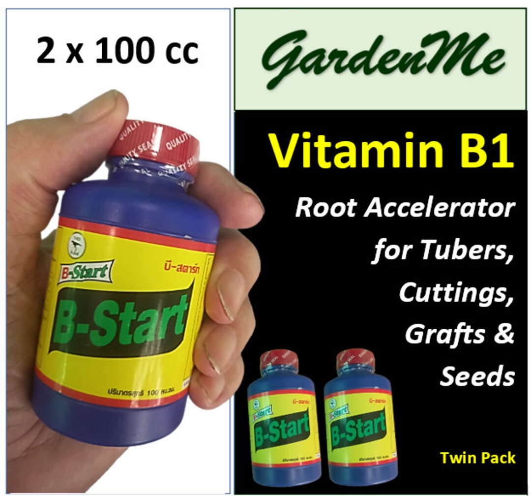 Gardenme 2 X 100 Cc Vitamin B1 Plant Rooting Fertilizer Plant Food for Softwood and Hardwood