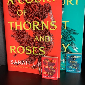 Custom New Adult Fantasy Book Keychain