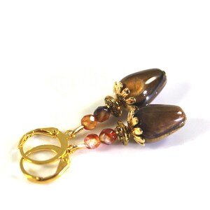 Tijgeroog oorbellen , sieraden met bruine natuursteen | Juwelen met echte steen druppels , klassieke oorbel met half edelsteen, tijgeroog.