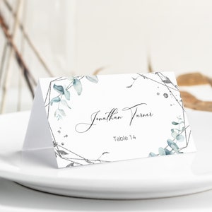 Plantilla de tarjeta de lugar de plata, tarjeta de lugar de eucalipto, tarjeta de lugar de boda de invierno, tarjeta de nombre, tarjeta de asiento de bricolaje, imprimible, 100% editable, P50